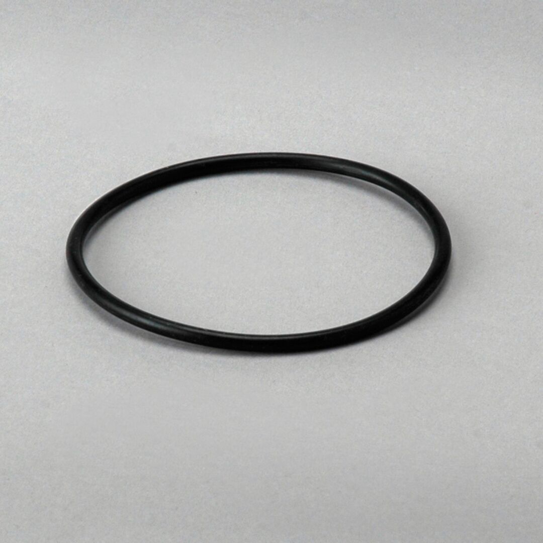 P563975 D/S, Seal | Donaldson