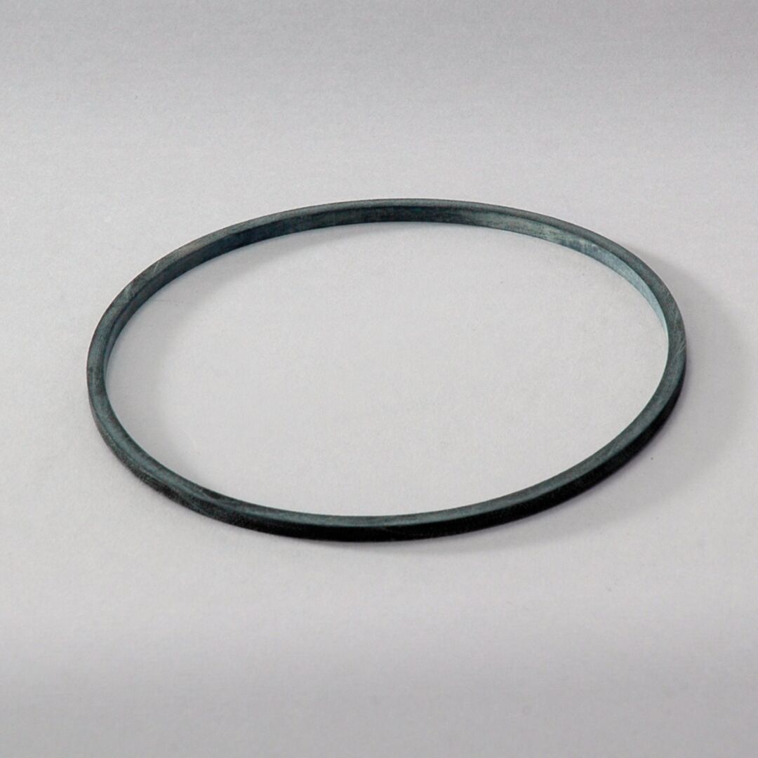 P563976 D/S, Seal | Donaldson