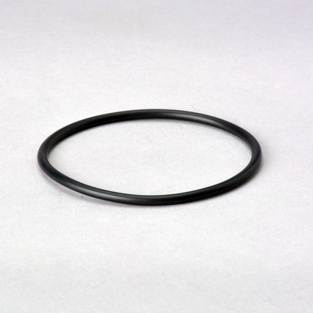 P575060 D/S, O-Ring | Donaldson