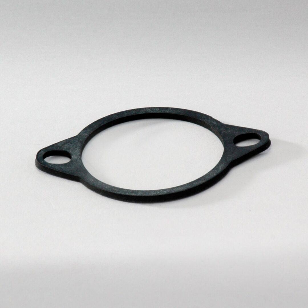 P760862 D/S, Gasket, Hydraulic | Donaldson