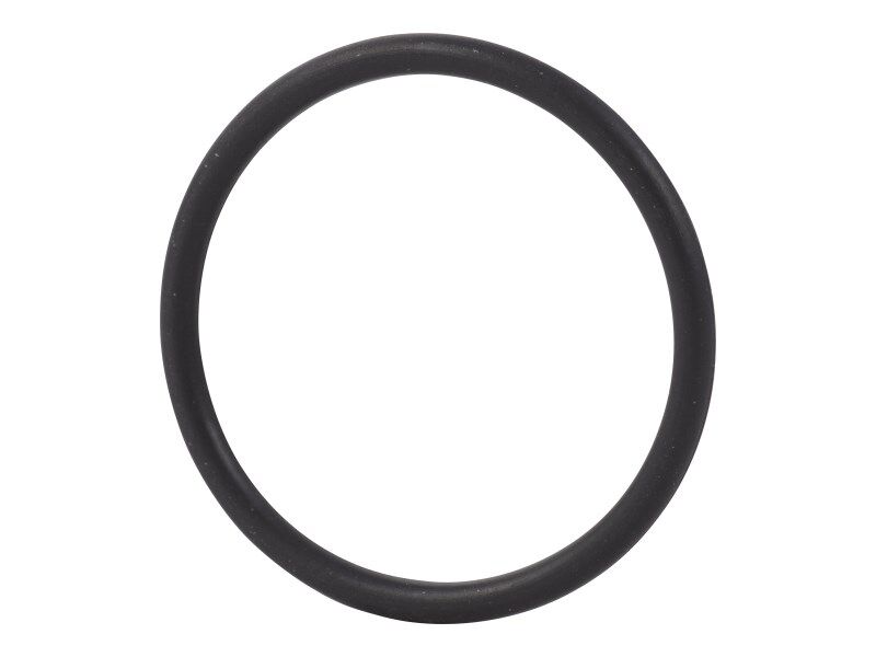 R123273 O Ring