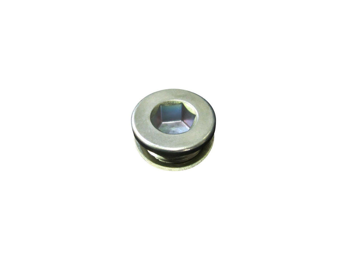 140969 Plug W/Sealing Washer | Skyjack