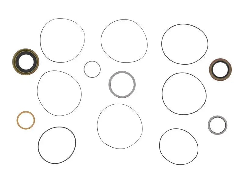 Part Number 151099 Seal Kit fits Skyjack