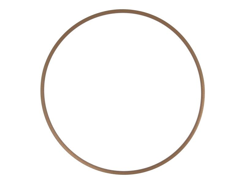 0501318654 Soporte Anillo | ZF