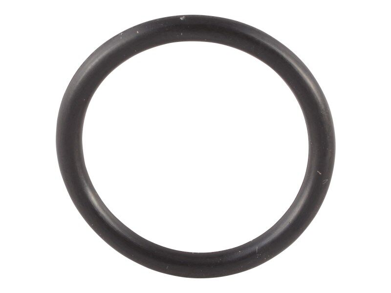 0634303238 O-Ring | ZF