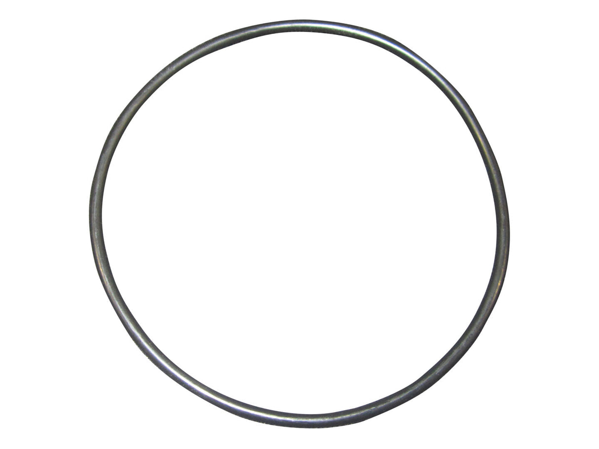 0634303734 O-Ring | ZF