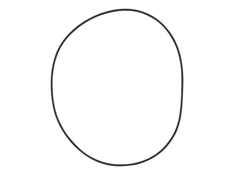 0634303996 O-Ring | ZF