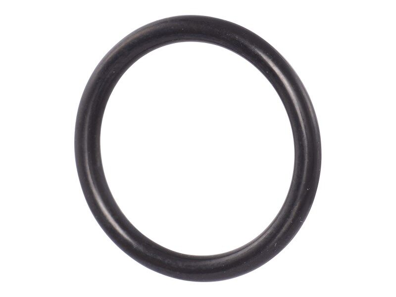 0634304530 O-Ring | ZF