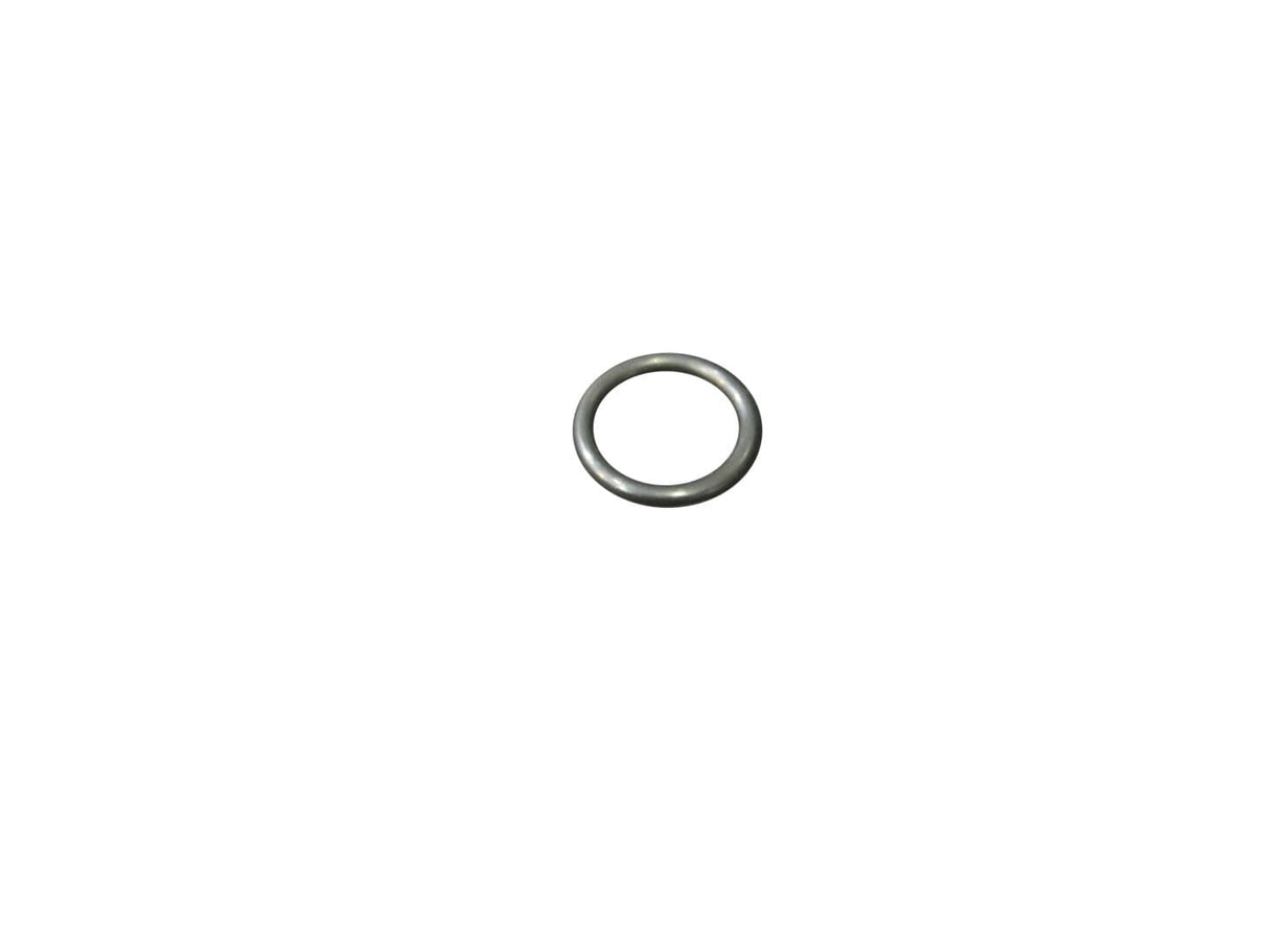 0634306518 O-Ring | ZF