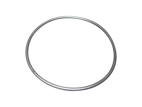 00105.1629 O Ring