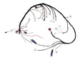 1001103424 Main Harness