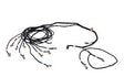 1001105007 Harness, Transducer | JLG - BHE Parts Store