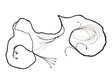 1001119372 Engine Harness