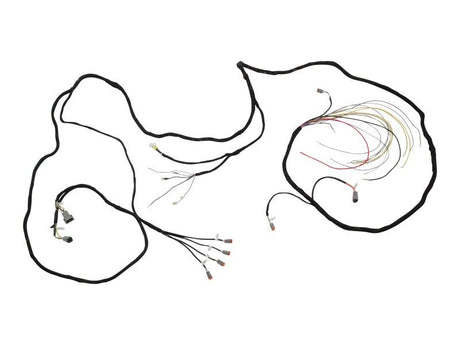 1001119372 Engine Harness