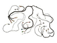 1001127386 Chassis Harness
