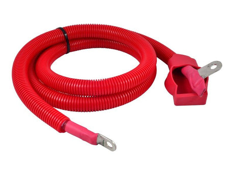 1001127488 Cable