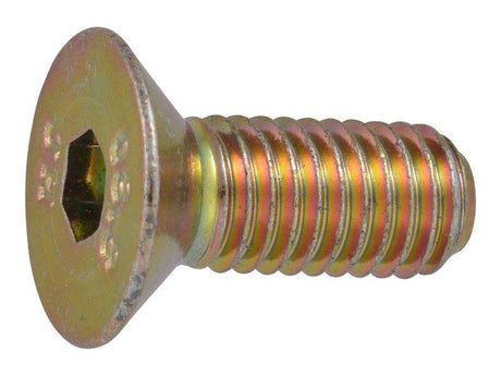 1001137125 Screwflat Hd Mach