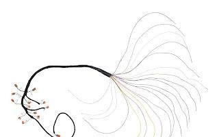 1001138588 Harness, 450 Aj Valve | JLG - BHE Parts Store