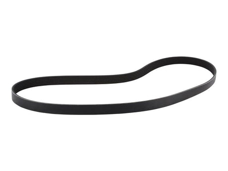 1001142645 Belt