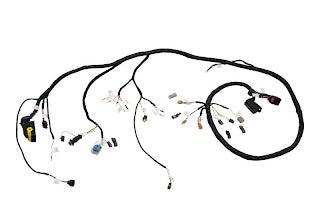 1001145562 Harness, Engine Deutz | JLG - BHE Parts Store