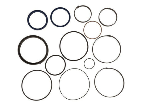 1001163541 Seal Kit | JLG - BHE Parts Store