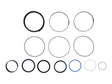 1001168666 Seal Kit