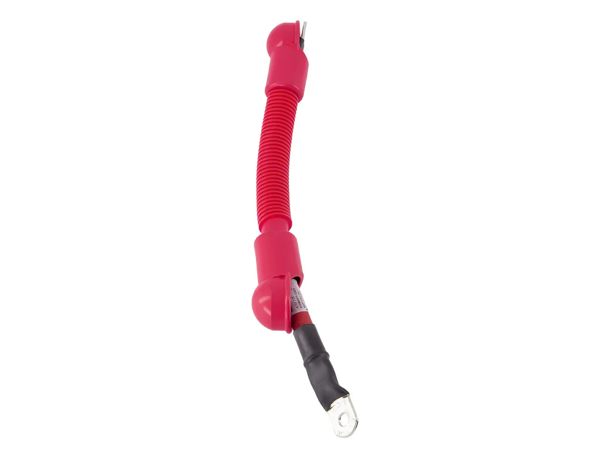 1001171679 Cable, Aux Relay To Aux Pump | JLG