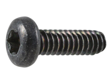 1001197099 Screw Spec