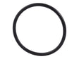 1001203066 O Ring