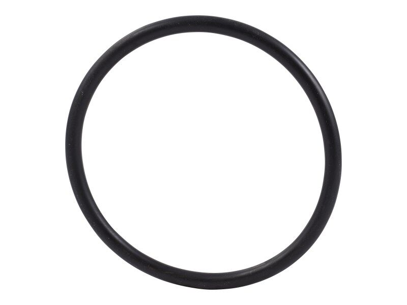 1001203066 O Ring