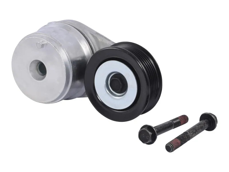 1001216300 Pulley, Belt Tensioner | JLG