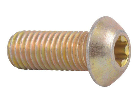 1001229056 Screw Spec 6Lobe Head