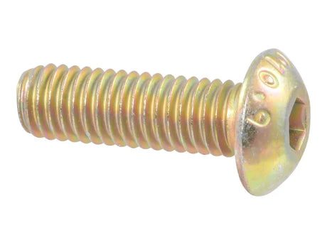 Part Number 1001234348 Screw-Spec, Button Hd fits JLG