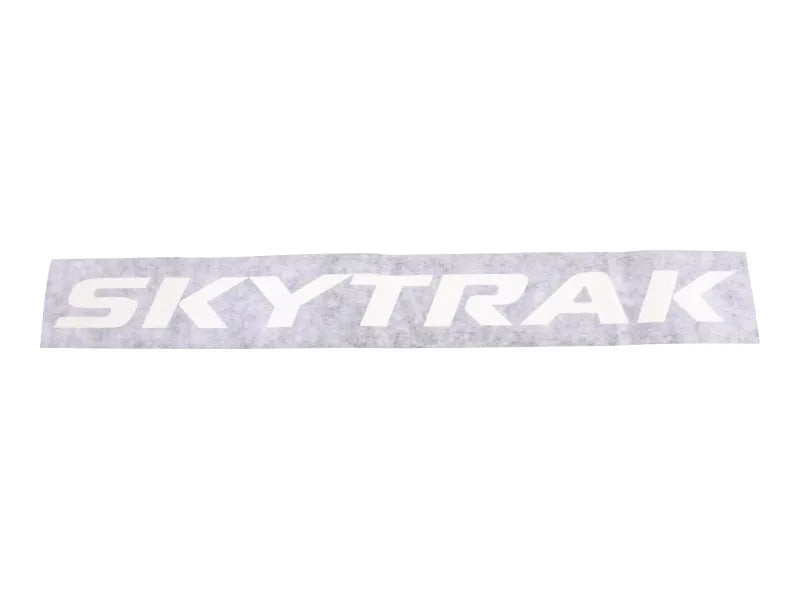1001259304 Decal, Rear Door | JLG
