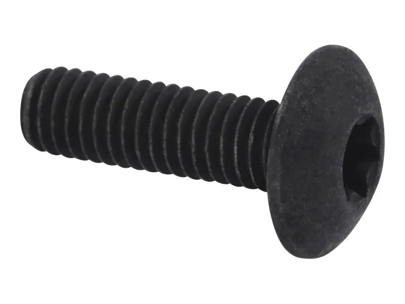 1001272884 Bolt, M6X20, T30 Truss Head | JLG