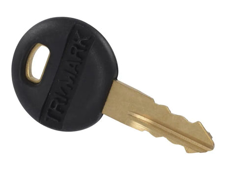 Part Number 1001273876 Key, Cab fits JLG