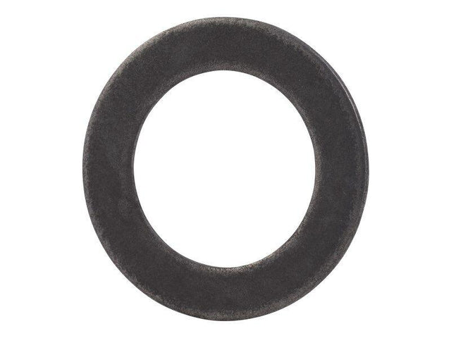 100149 Flat Washer