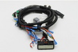 Part number 100698GT Harness Ecu Gr Ansi