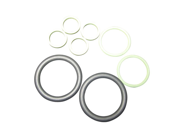 102395GT Seal Kit