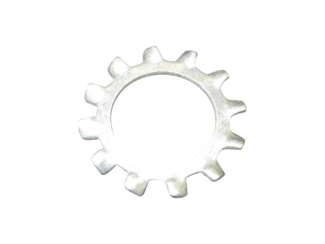 10701363 Washer Star 