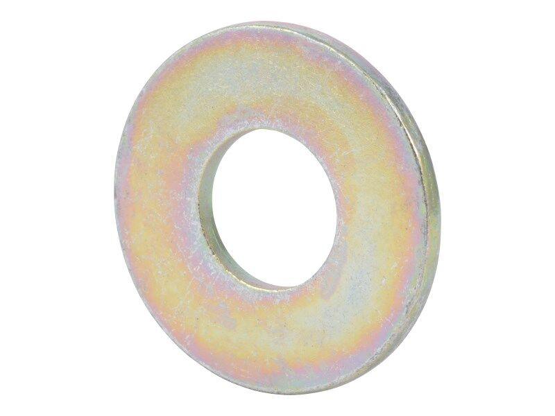 10701411 Washer Flat