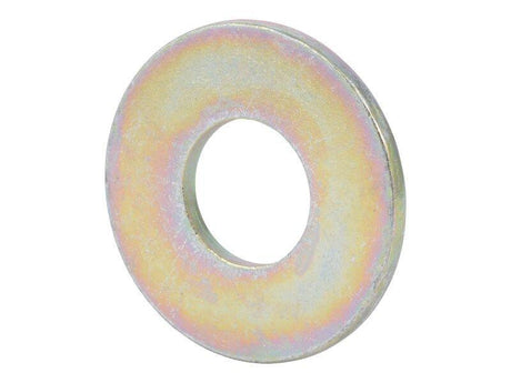 10701411 Washer Flat