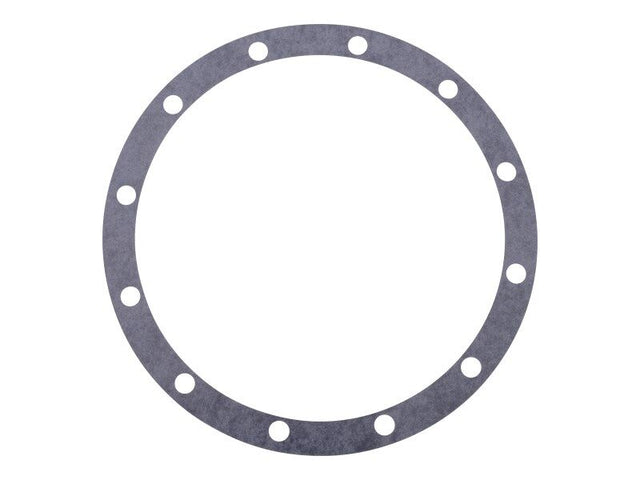 10713898 Gasket 