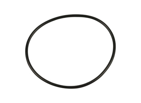 10718602 O Ring 