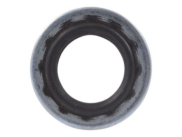 10725089 Seal Washer
