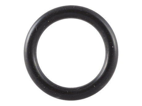 10726838 O-Ring