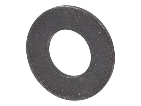 10731377 Washer Flat