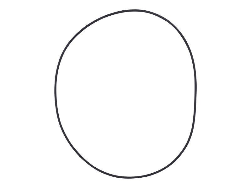 10731707 O Ring