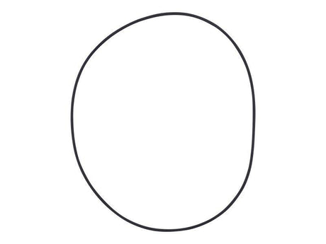 10731707 O Ring
