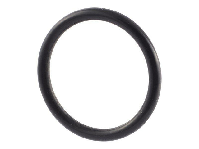 10731736 O Ring